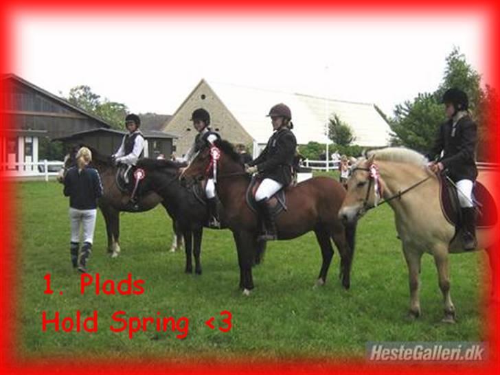 Anden særlig race *Wendy*   - LD Hold spring. billede 17