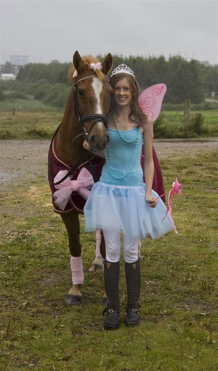 Anden særlig race // Holmens Molly -[SOLGT] - Mig, min veninde og hestene var gjort fine til min venindes forældres bryllup :) billede 15