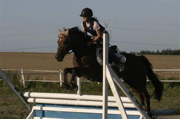 New Forest Opbroeks Mayday (solgt) - Undervisning af Fotograf: Casper Cassøe. billede 16