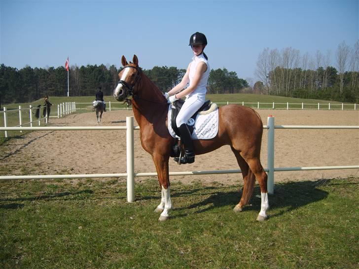 Tysk Sportspony Vanja 2 - Til stævne på Odsherred, hvor vi vandt LA2 og 4. billede 2