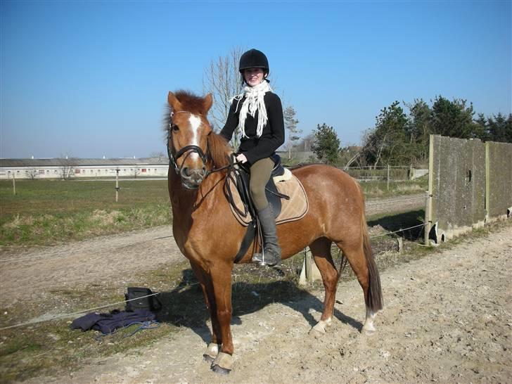 Anden særlig race // Holmens Molly -[SOLGT] - kig på fotografen billede 17