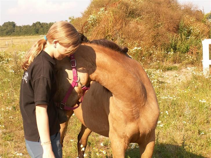 Anden særlig race Diwa Dunaway RIP :´( - Hun har allerede knyttet sig til mig:) billede 2