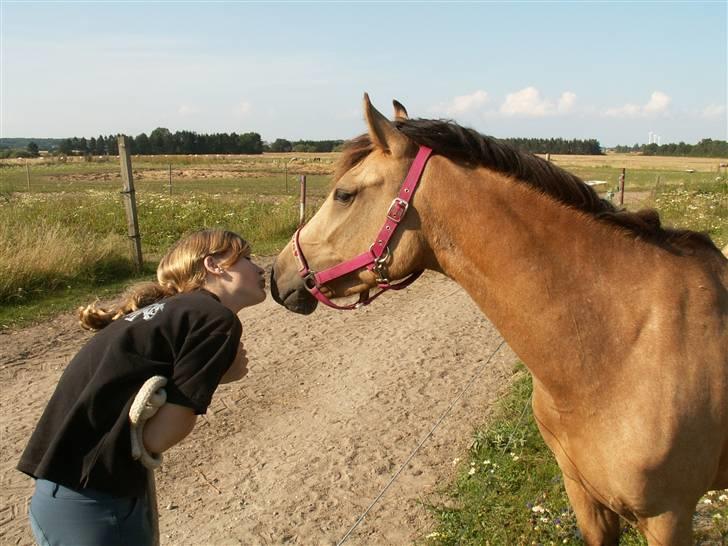 Anden særlig race Diwa Dunaway RIP :´( - kysse kys.. billede 4