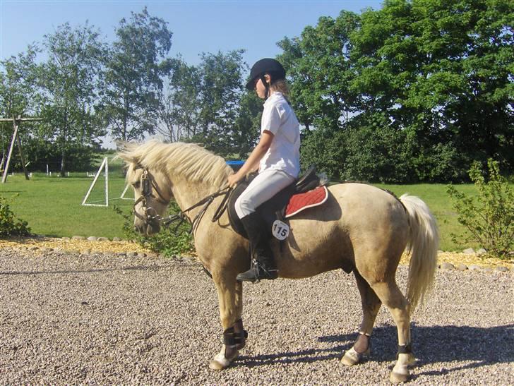 Palomino Max Motor  - Whow det var lige en s - klasse i spring for 3´er ponyer billede 6