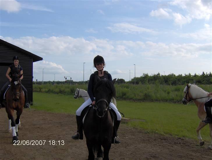 Fell pony Falco  (Gamle part) - Falco og jeg efter stævnet billede 1