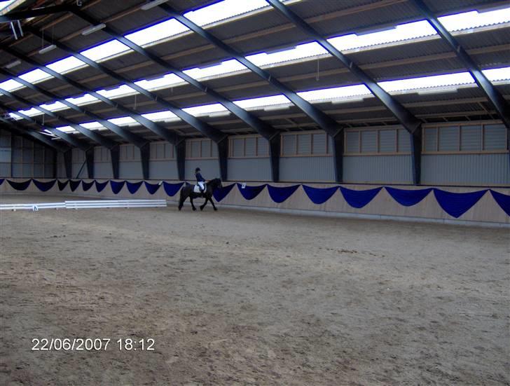 Fell pony Falco  (Gamle part) - Vi rider, hehe billede 3