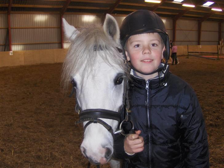 Welsh Pony af Cob-type (sec C) Fakla Chico  - Man kommer vist ikke i tvivl om at Marcus er glad for sin nye pony Chico billede 11