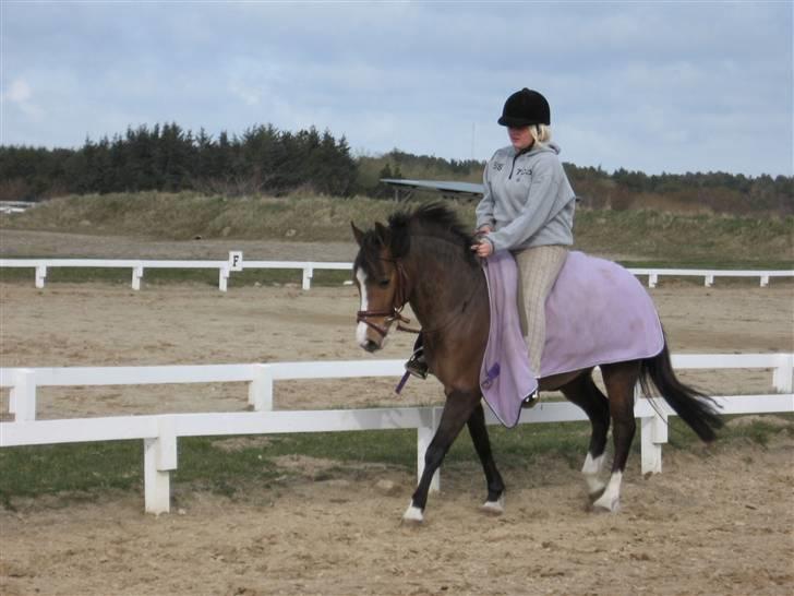 New Forest Tic-Tacs(solgt) - Sødt(; billede 10