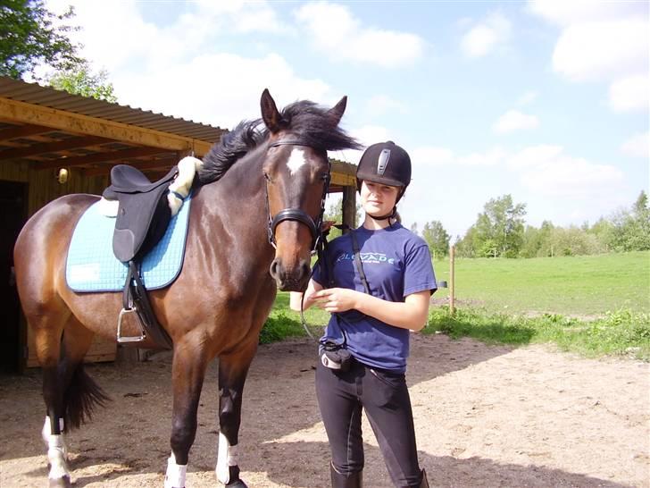 Anden særlig race Amazing Star - maisie og miiq 18 maj 07 . Første ridetur. Før det havde vi kun skridtet lidt rundt. :P billede 2