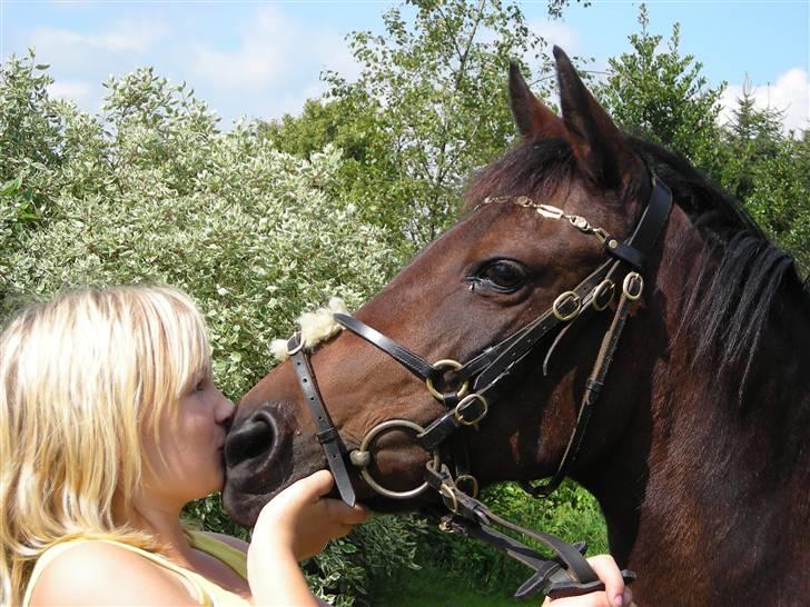 New Forest Beauty   *solgt* - et kys fordi jeg elsker dig <3 billede 2