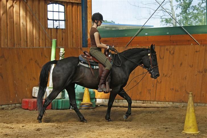 Tennessee Walker | Yahoo's Beautiful Joyce - # 10. Joyce med Anna Holstermann ombord. 1. august 2009. billede 10