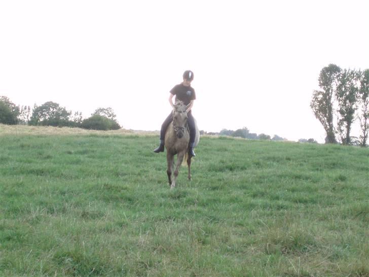 Anden særlig race R.I.P. Blondie ll - tykke, var lige efter fødslen.  billede 12