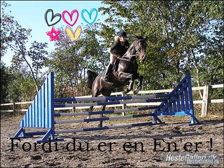 Dansk Varmblod Alberte - Lavet af: Emilie S - Tak (: Spring træning  billede 1