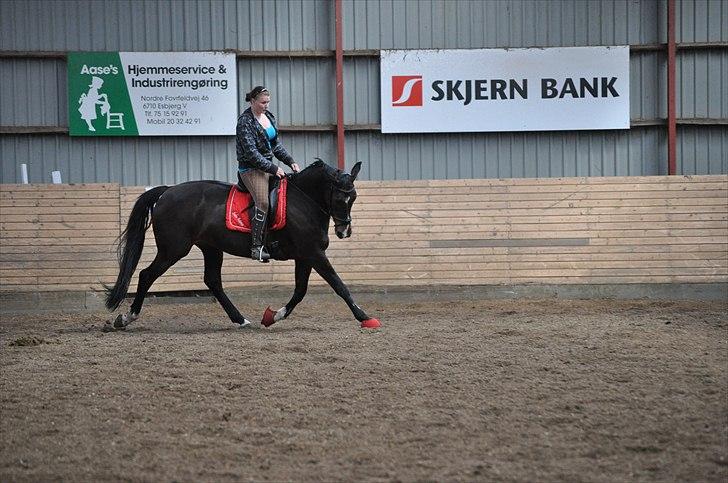 Dansk Varmblod Alberte - 25.05.11 - dressur billede 6