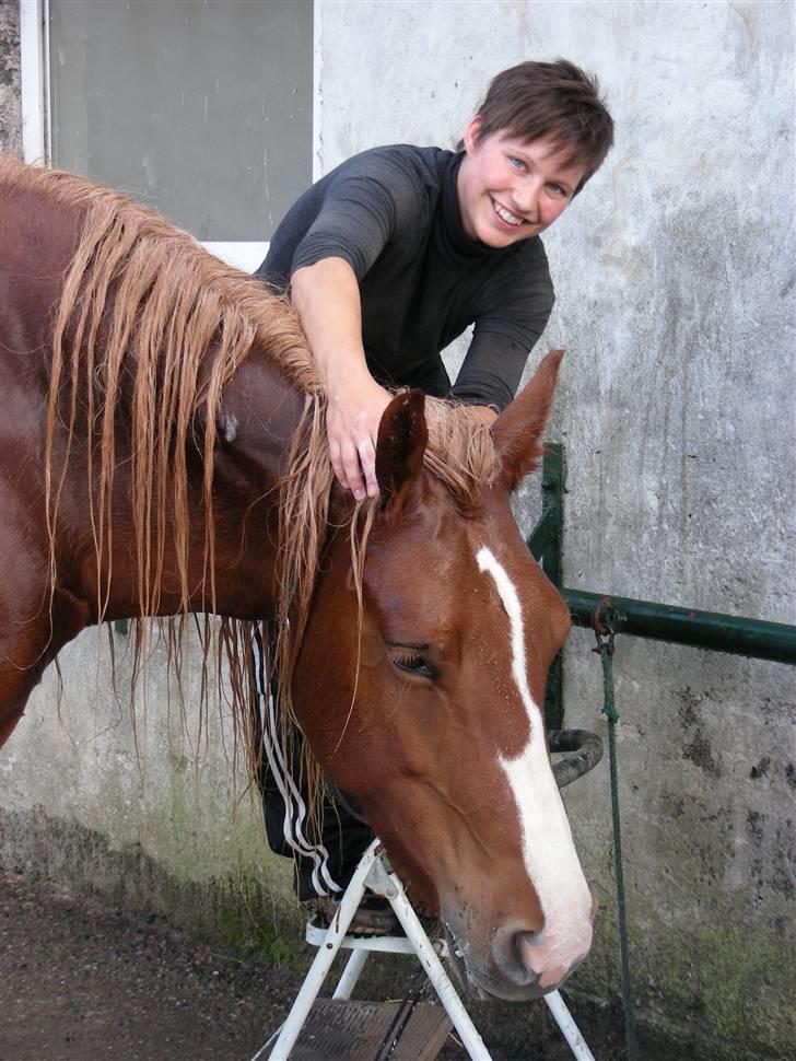 Norsk Døle Sælli - Sælli bliver vasket godt og grundig sommer 09 =) Foto: Tabita billede 10