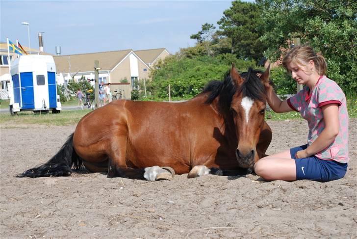 New Forest Lady / Mulle<33 - Malene<3 og mig billede 4