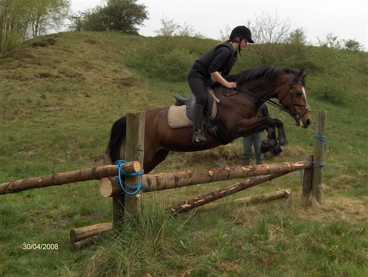 New Forest Lady / Mulle<33 - vi springer.. hehe billede 5