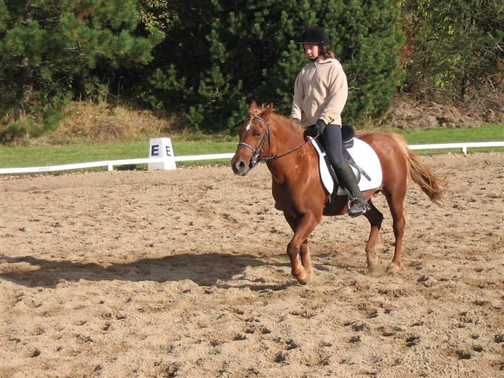 Anden særlig race Cheri<3 † Hvil I Fred<3 † - Dette billed minder sådan om det vi havde sammen engang<3 :´( billede 2