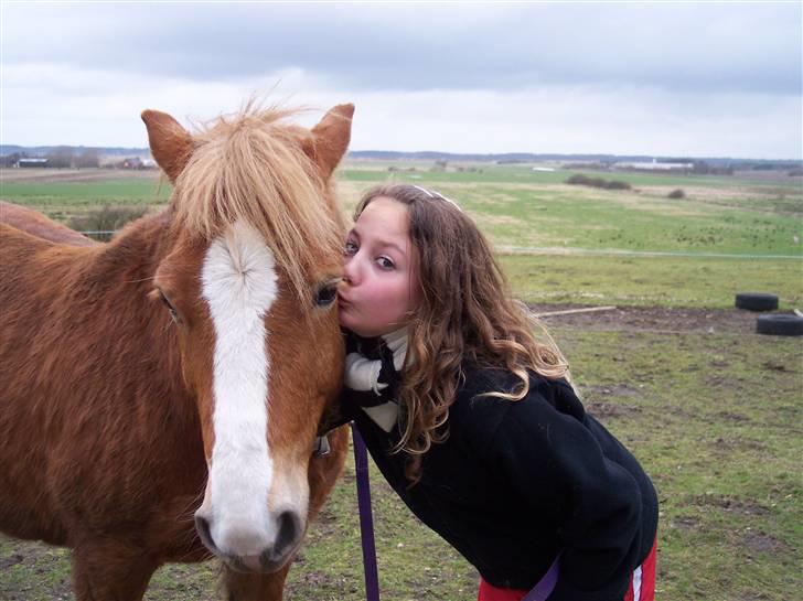 Anden særlig race Filur solgt 2011 - Os <33 billede 13