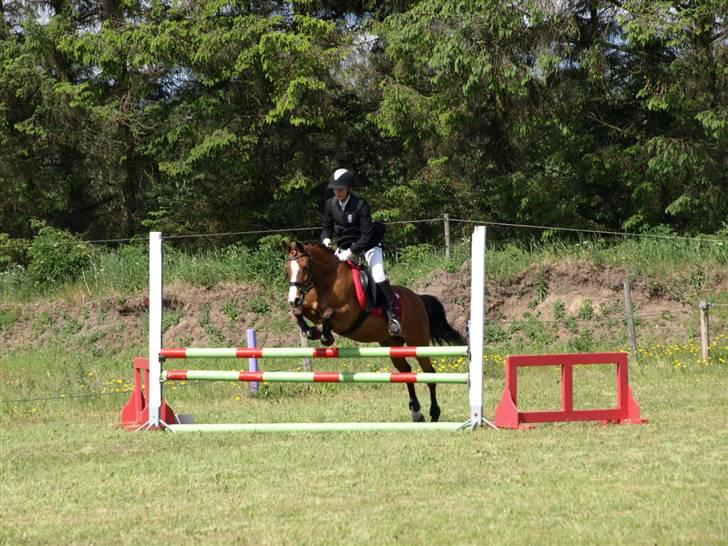 Anden særlig race Freja - 20# D. 06-06-09 Fjends, LB spring :) <3 billede 19