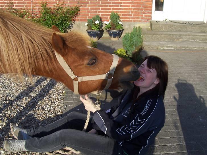 Anden særlig race Cheri<3 † Hvil I Fred<3 † - vi deler lige en gulerod :´) savner dig!<3 billede 6