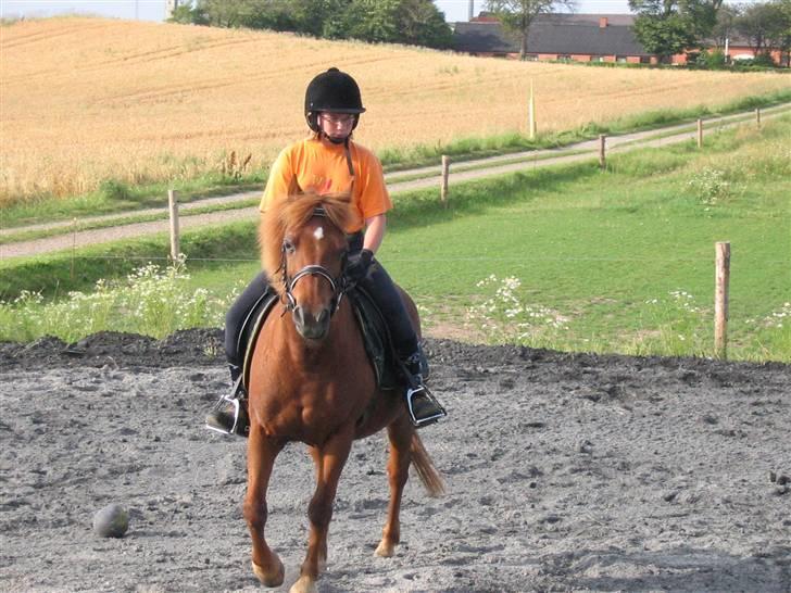 Anden særlig race Cheri<3 † Hvil I Fred<3 † - Cheri og jeg rider. meget gammelt billed:p billede 8