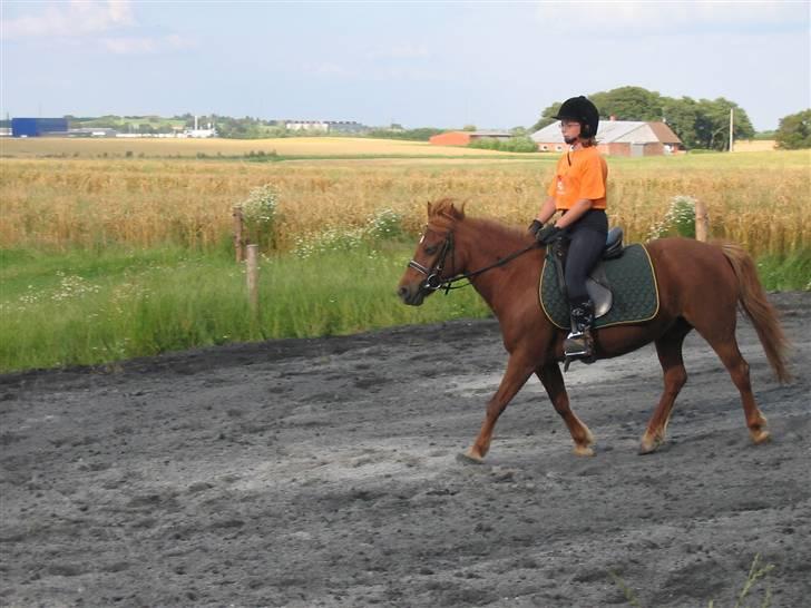 Anden særlig race Cheri<3 † Hvil I Fred<3 † - os igen:) billede 9