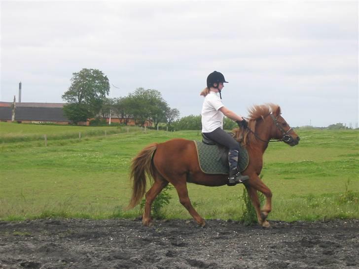 Anden særlig race Cheri<3 † Hvil I Fred<3 † - et billed hvor jeg er lidt ældre:p billede 11