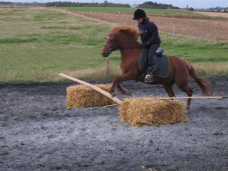 Anden særlig race Cheri<3 † Hvil I Fred<3 † - undskyld kvaliteten:/ billede 12