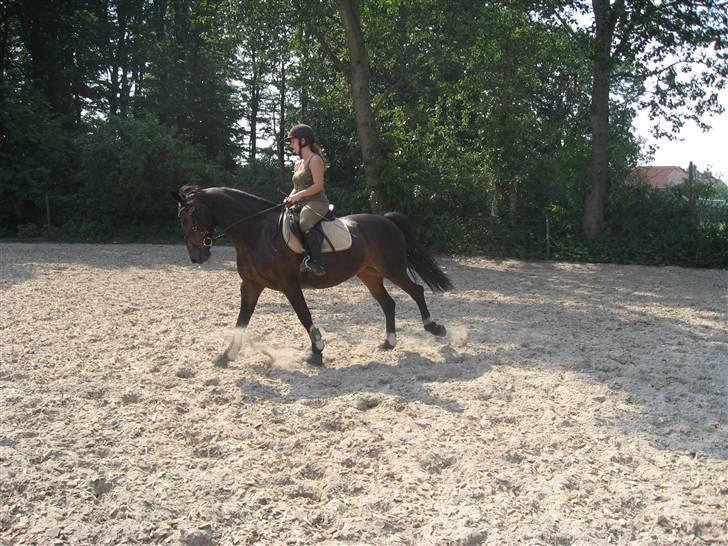 Anden særlig race DIBA - 07.08.07 billede 12