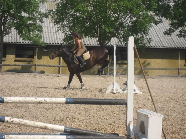 Anden særlig race DIBA - 07.08.07 billede 13