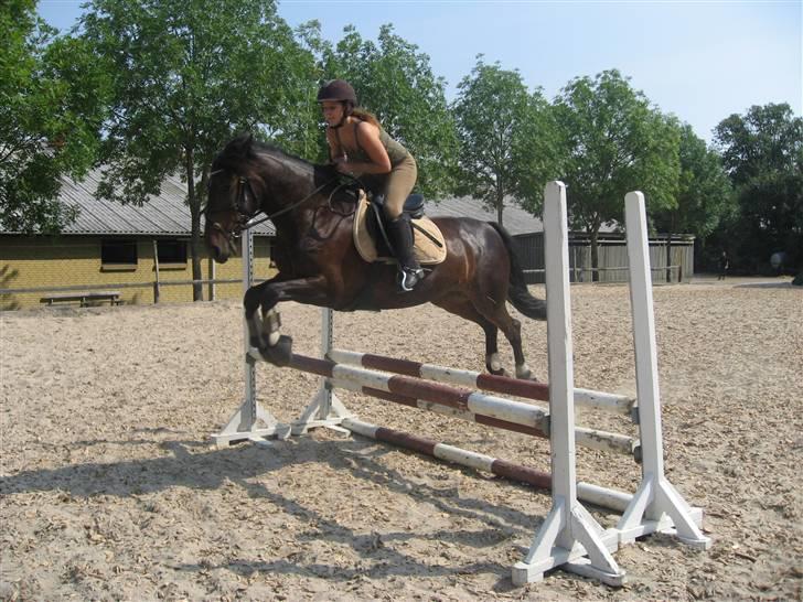 Anden særlig race DIBA - 07.08.07 billede 17