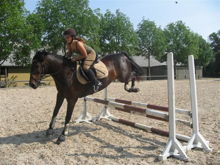 Anden særlig race DIBA - 07.08.07 billede 18