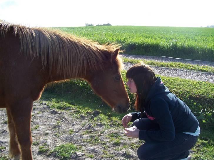 Anden særlig race Cheri<3 † Hvil I Fred<3 † - Hygge på folden, elsker dig tøs<3 billede 16