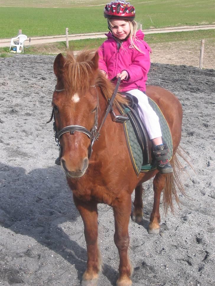 Anden særlig race Cheri<3 † Hvil I Fred<3 † - dem igen:) billede 17