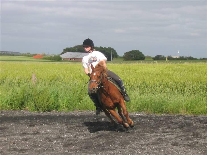 Anden særlig race Cheri<3 † Hvil I Fred<3 † - synes det er et mega sjovt billed.. :D:D billede 18
