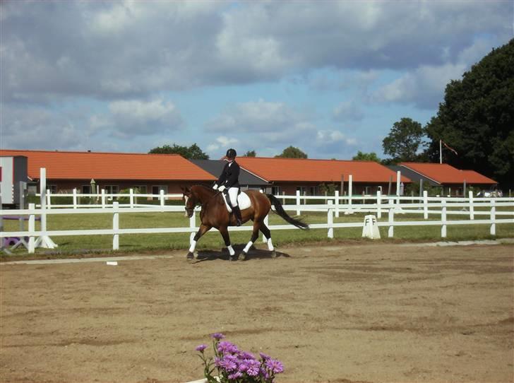 Holstener Dyval [12/3-03 -- 5/7-11] - stævne i augr. d. 3.8.08 Lc1 billede 14