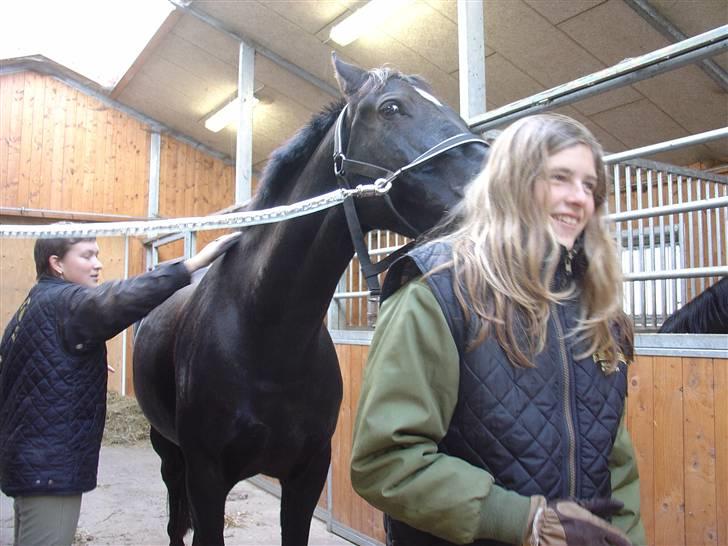 Anden særlig race Masetto - Ja, når der skal nusses, lægger Masetto beslag på så mange som muligt... billede 17