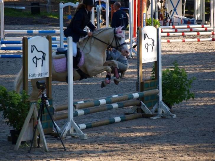 Welsh Pony (sec B) Rosengårdens Nakuma*solgt - I love you pony <3 billede 3