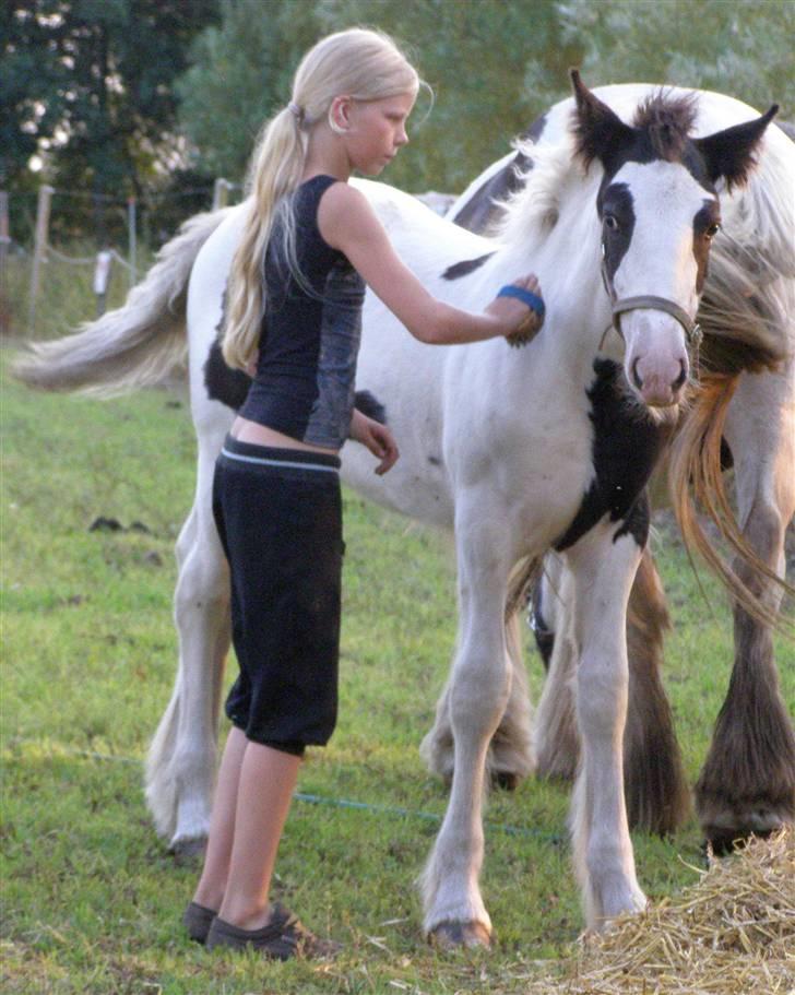 Tinker Iris *solgt* billede 8