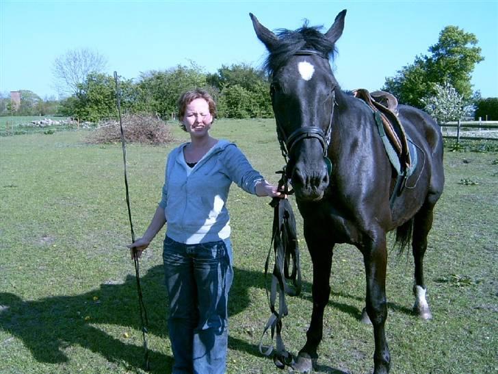 Oldenborg Starlight (solgt) - Mit første møde med Starlight billede 1
