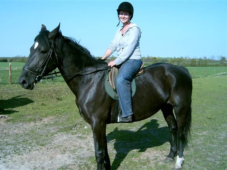 Oldenborg Starlight (solgt) - Så kom jeg op... billede 3