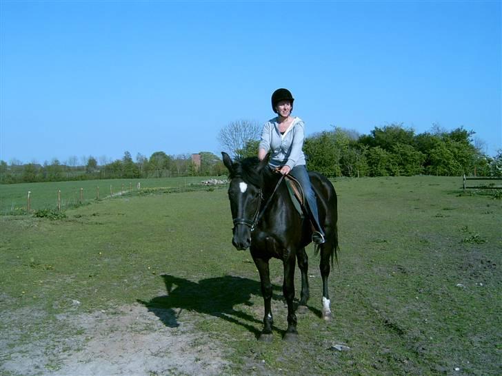 Oldenborg Starlight (solgt) - Hu-hej, hvor det går ;-) billede 4