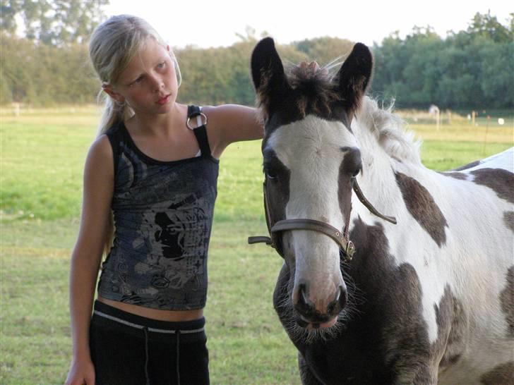 Tinker Wiingreens Adele  *solgt* billede 2