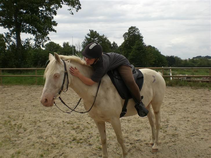 Anden særlig race Shadow *SOLGT* billede 2