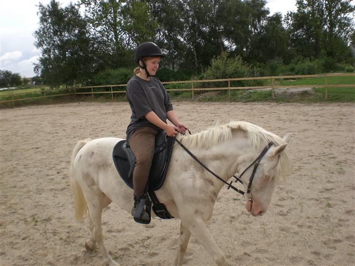 Anden særlig race Shadow *SOLGT* billede 10