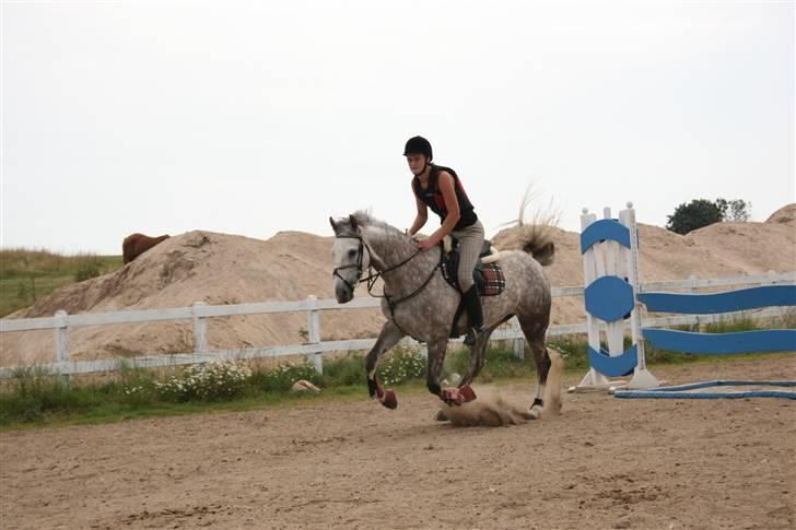 Anden særlig race Dancing Daisy ! !SOLGT! ! - Efter springet ;P Heh Fopto: Far billede 15