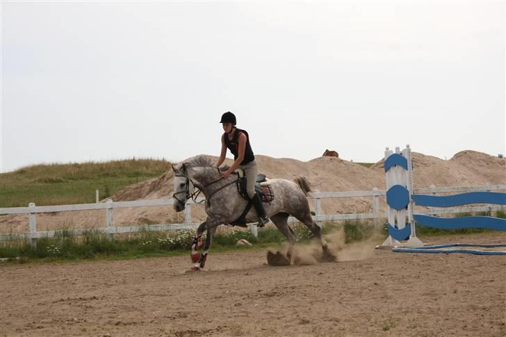 Anden særlig race Dancing Daisy ! !SOLGT! ! - Igen efter springet.. Sys det ser fedt ud ;) Foto: Far billede 16