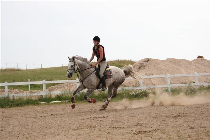 Anden særlig race Dancing Daisy ! !SOLGT! ! - Igen efter springet.. Foto: Far billede 17