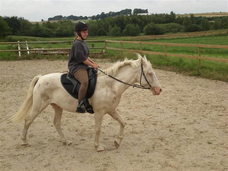 Anden særlig race Shadow *SOLGT* billede 15